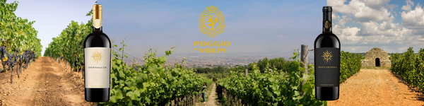 Poggio Le Volpi - meet the winery!