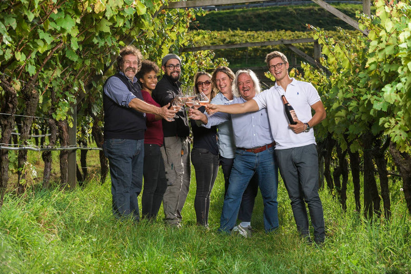 Pojer & Sandri - meet the winery!