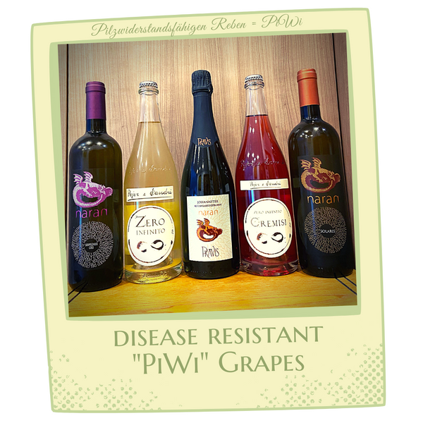 PiWi Grapes - the disease resistant crosses