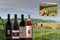 Serra San Martino - meet the winery!