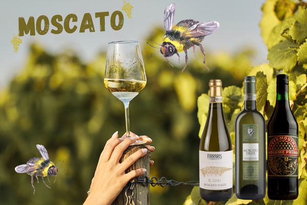 Moscato - grape of the bees!