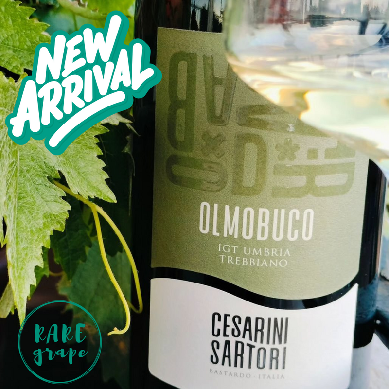 OLMOBUCO Trebbiano Spoletino 2022 [Cesarini Sartori] 75cl