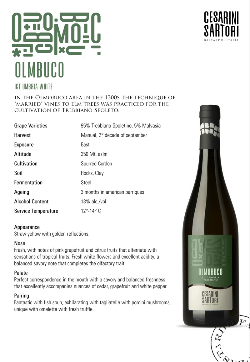 OLMOBUCO Trebbiano Spoletino 2022 [Cesarini Sartori] 75cl