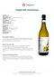 LANGHE CHARDONNAY 2019 [Brezza] 75cl - Once Upon A Vine