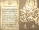 TATOR 2020 [Poggio Le Volpi] 75cl UVPV69 - Once Upon A Vine Singapore