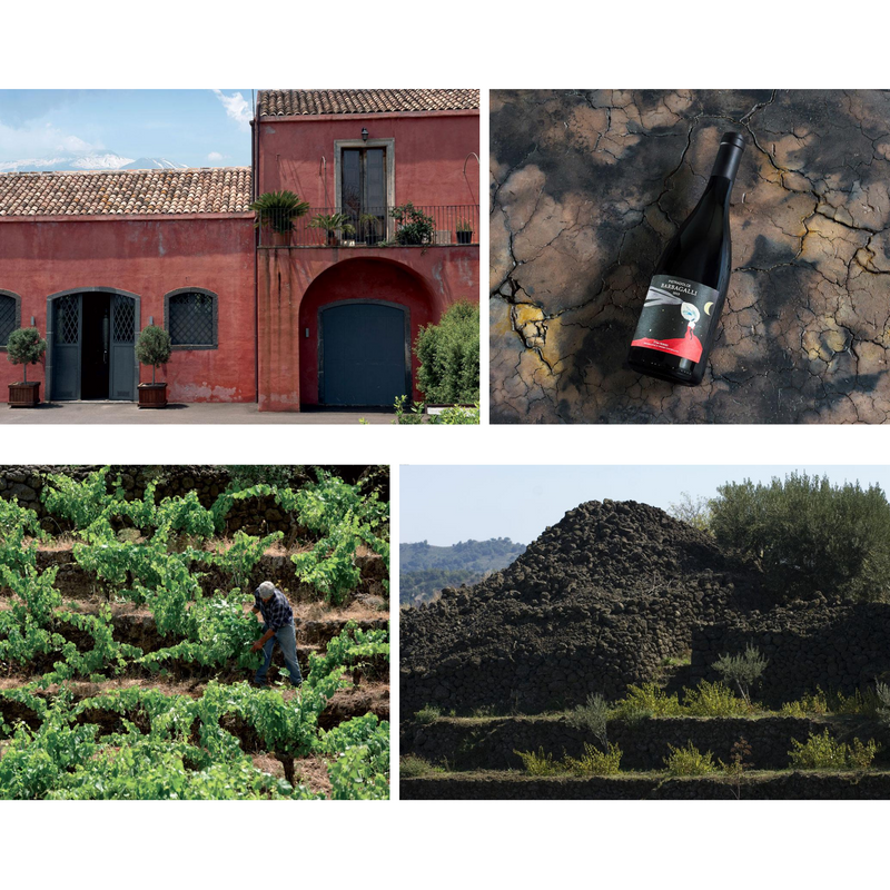 BARBAGALLI Etna Rosso 2016 [Pietradolce] 75cl - Once Upon A Vine