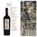 PIETRAFITTA 2015 [Cianfagna] 75cl - Once Upon A Vine