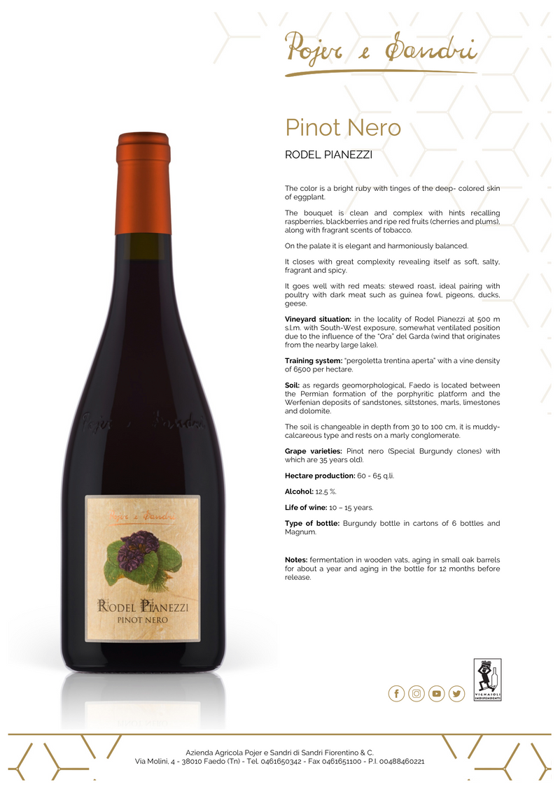 PINOT NERO Rodel Pianezzi 2016 [Pojer & Sandri] 150cl - Once Upon A Vine