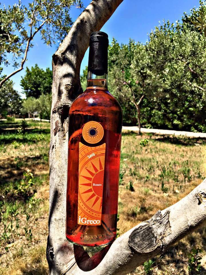 SAVU 2019 [iGreco] 75cl - buy online for delivery– Once Upon A Vine